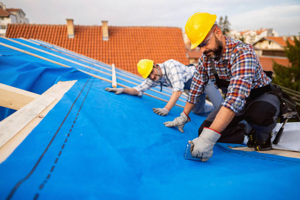 Best Metal Roofing Contractor  in Bentonville, AR